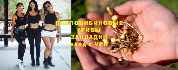 твердый Балахна