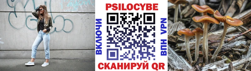 Псилоцибиновые грибы MAGIC MUSHROOMS  Высоцк 
